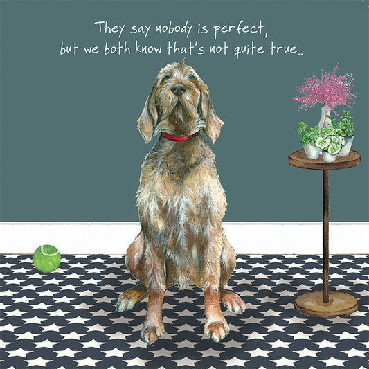The Little Dog Laughed Wenskaart hond Really perfect 15 x 15 cm