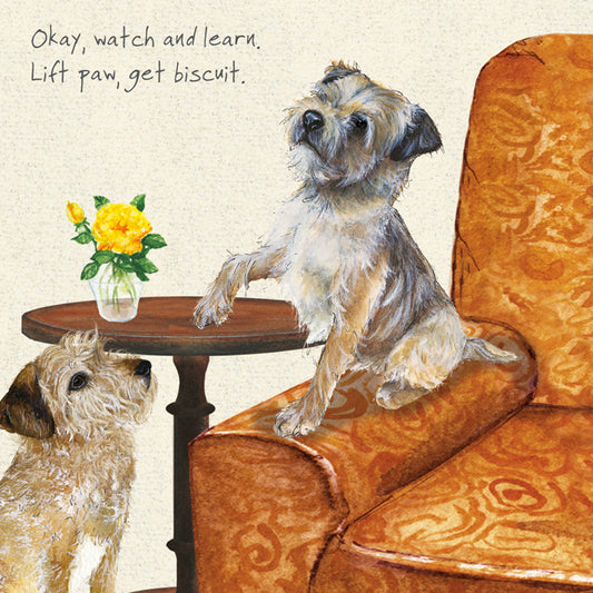 The Little Dog Laughed Wenskaart hond Border terriërs 15 x 15 cm