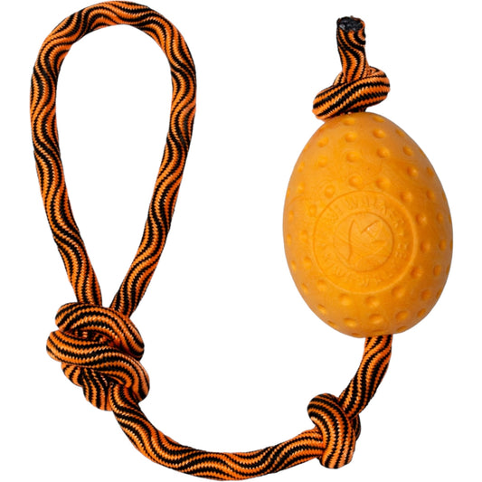 Kiwi Walker hondenspeelgoed Let's play Egg