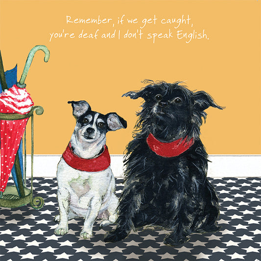 The Little Dog Laughed Wenskaart hond Teddie en Joshie 15 x 15 cm
