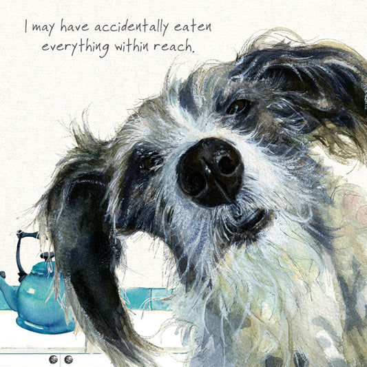 The Little Dog Laughed Wenskaart hond Lurcher 15 x 15 cm