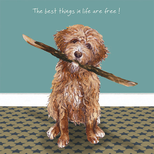 The Little Dog Laughed Wenskaart hond Best things 15 x 15 cm