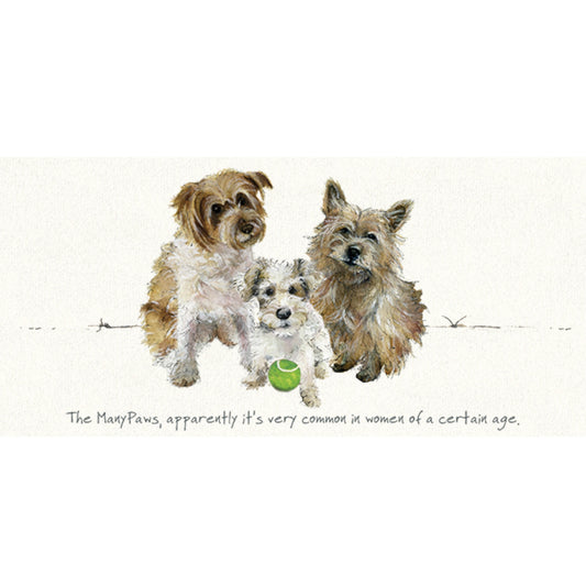The Little Dog Laughed Wenskaart hond Many Paws 20 x 10 cm