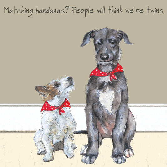 The Little Dog Laughed Wenskaart hond Eric en Ramsey 15 x 15 cm