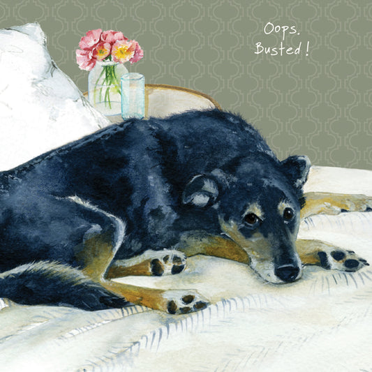 The Little Dog Laughed Wenskaart hond Busted 15 x 15 cm