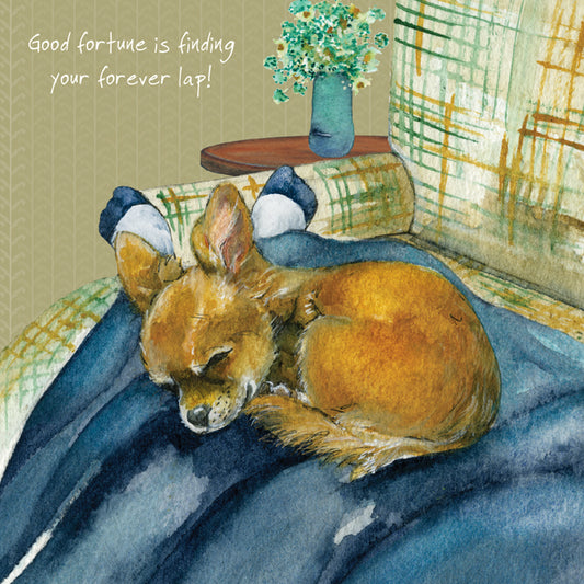 The Little Dog Laughed Wenskaart hond Churro de Chihuahua 15 x 15 cm