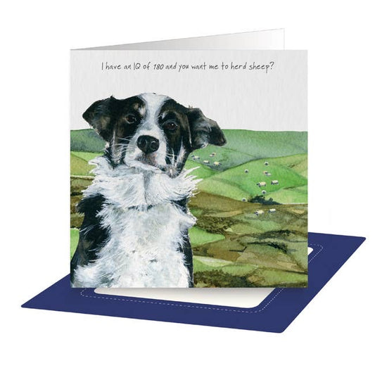The Little Dog Laughed Wenskaart hond Guiness the Border Collie 15 x 15 cm
