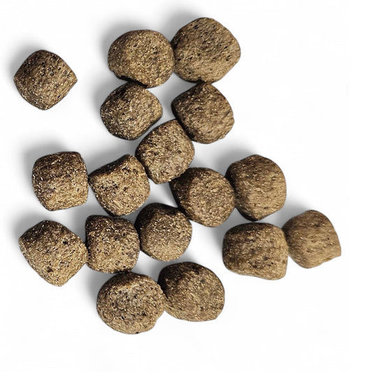 Spirit of Wild Kalkoen en rijst natuurlijke trainingssnoepjes hond 100 gram