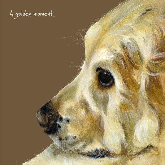 The Little Dog Laughed Wenskaart hond Golden Retriever 15 x 15 cm