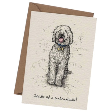 Bewilderbeest wenskaart hond Labradoodle 13 x 18 cm