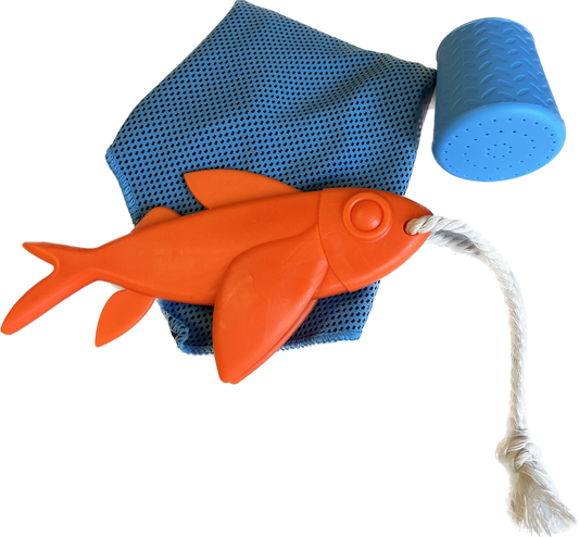 Kikkerland Beach day kit