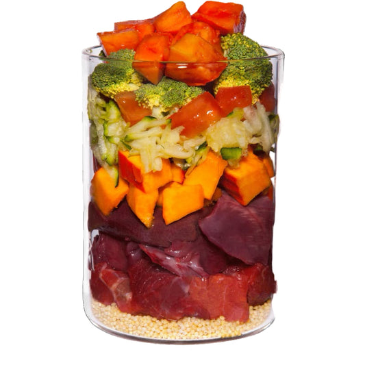 Terra Canis Classic Buffel gierst papaya natuurlijk natvoer hond 400 gram