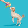 BARK Ahi Tina regenboog vis hondenspeeltje met pieper 26 cm