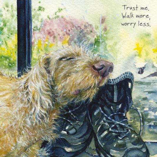 The Little Dog Laughed Wenskaart hond  Walk More  15 x 15 cm