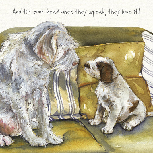 The Little Dog Laughed Wenskaart hond Dora en Gracie, 2 Spinoni Italiano 15 x 15 cm