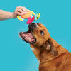 BARK Ahi Tina regenboog vis hondenspeeltje met pieper 26 cm