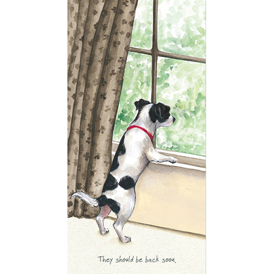 The Little Dog Laughed Wenskaart hond Smiffy Jack Russell 10x20 cm