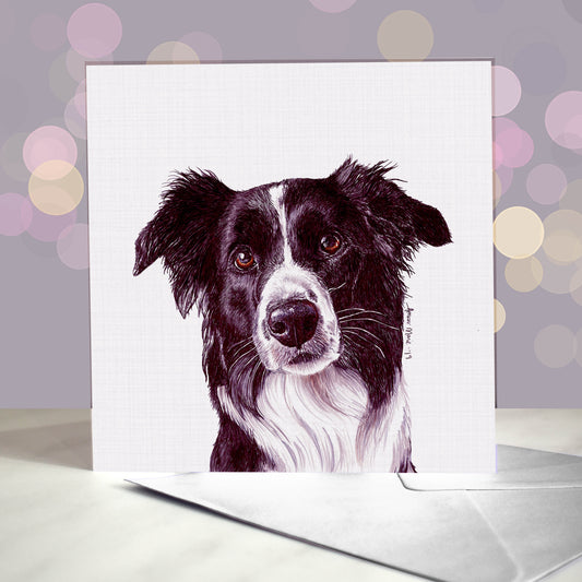 Amber Marie wenskaart border collie 15 x 15 cm