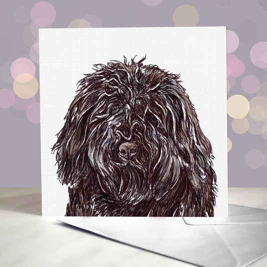 Amber Marie wenskaart barbet 15 x 15 cm