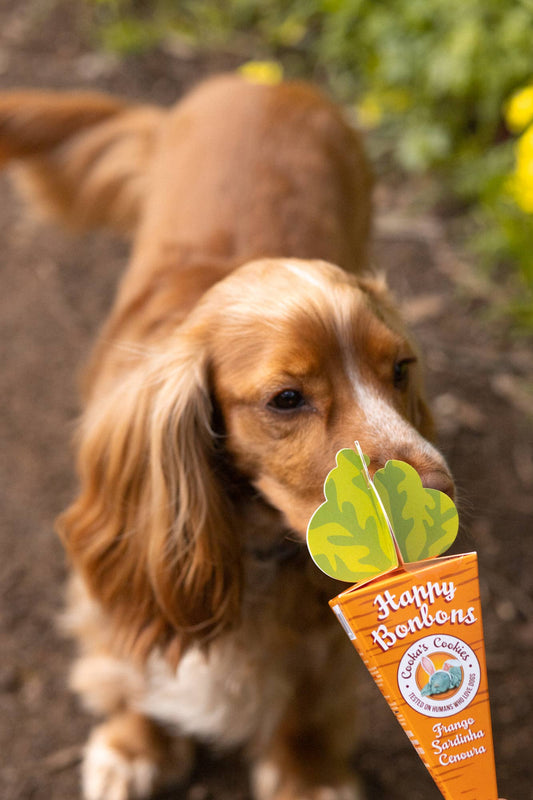 Happy Bonbons - Crunchy Turkey & Sardine Treats voor honden