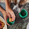 Woof Pupsicle hervulbare snackbal voor honden