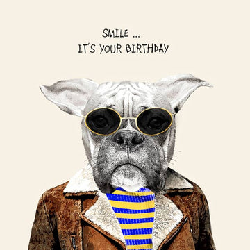 Sally Scaffardi verjaardagskaart Franse bulldog 15 x 15 cm