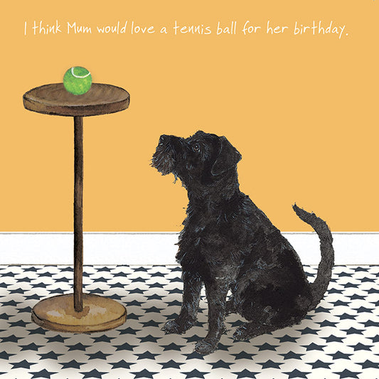 Patterdale dog birthday card