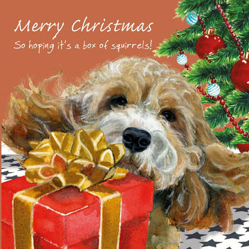 The Little Dog Laughed kerstkaart Ziggy cavapoo 15 x 15 cm