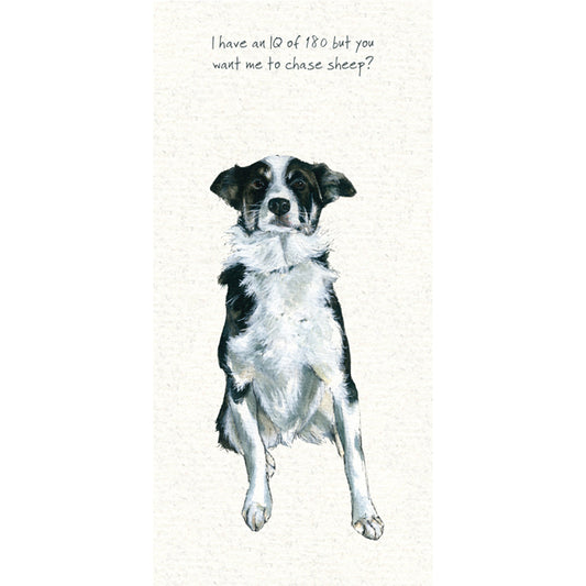 The Little Dog Laughed Wenskaart hond Scamp the Border Collie 10x20 cm