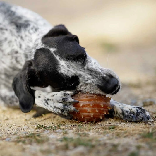 Retorn Spike Ball kauwspeelgoed van natuurlijke hars