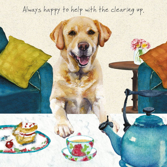The Little Dog Laughed wenskaart Marley de labrador 15 x 15 cm