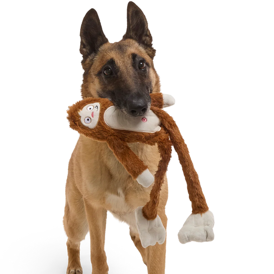 hond met BARK Hairy Henderson hondenspeeltje met pieper 50 cm