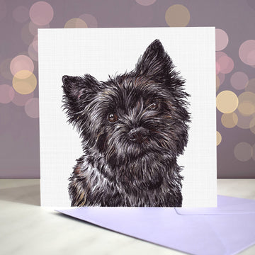 Amber Marie wenskaart Cairn terriër brindle 15 x 15 cm