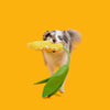 BARK Corn on the Slob maïs hondenspeeltje met pieper en touw 33 cm