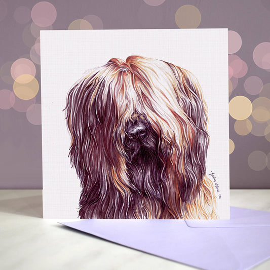 Amber Marie wenskaart briard 15 x 15 cm