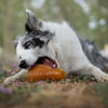 Rub Bouncy natuurlijk hondenspeelgoed