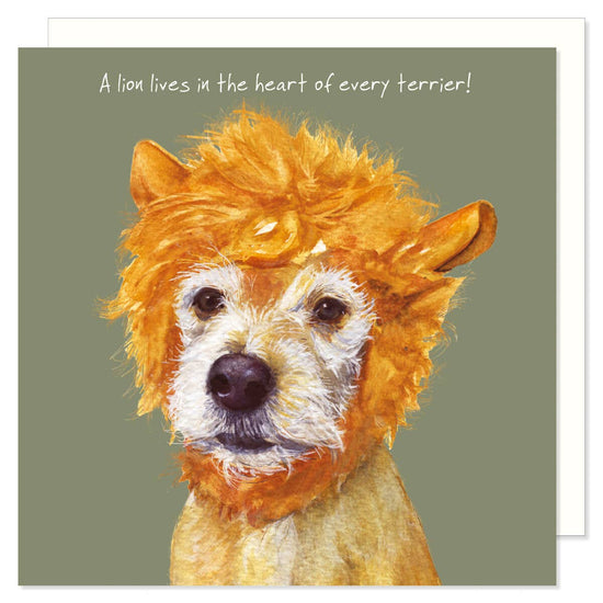Wenskaart met illustratie van Patterdale terriër Lady Agnes met leeuwenmanen van The Little Dog Laughed