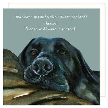 Wenskaart met illustratie van labrador Woody en tekst over cheese van The Little Dog Laughed