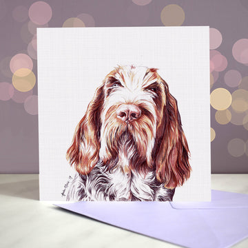 Amber Marie wenskaart Italiaanse spinone  15 x 15 cm