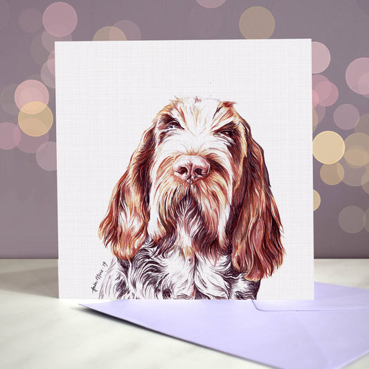 Amber Marie wenskaart Italiaanse spinone  15 x 15 cm