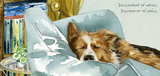 The Little Dog Laughed Wenskaart hond Hope the Border Collie 20x10 cm