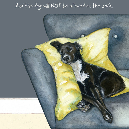 The Little Dog Laughed Wenskaart hond Skyla the rescue dog 15 x 15 cm