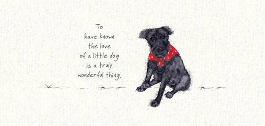 The Little Dog Laughed Wenskaart hond Gracie de Little Black Dog  20 x 10 cm