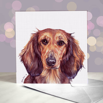 Amber Marie wenskaart hond langharige teckel 15 x 15 cm