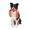 hond met BARK Lickin Links pluche hondenspeeltje met pieper