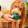 Woof Pupsicle hervulbare snackbal voor honden