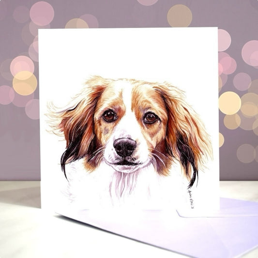 Amber Marie wenskaart kooikerhondje 15 x 15 cm