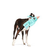 Bark Party monster Marty hondenspeeltje met pieper 36 cm