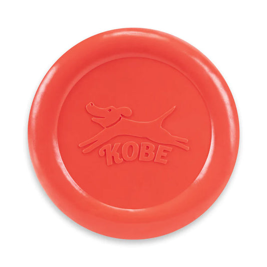 Frisbee