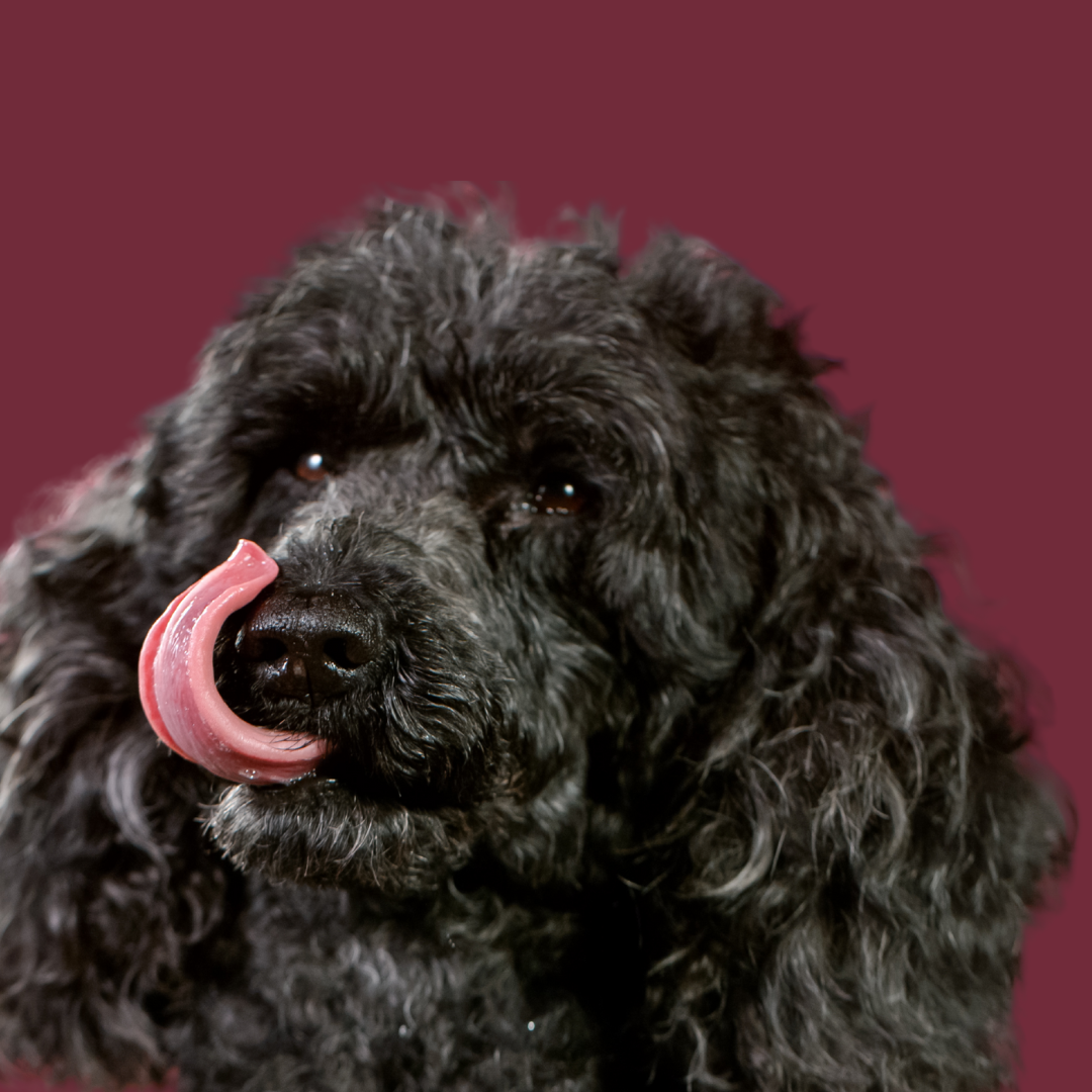 Snacks, lekker en gezond